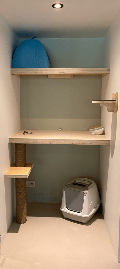 kattenhotel catland verblijf standaard indeling