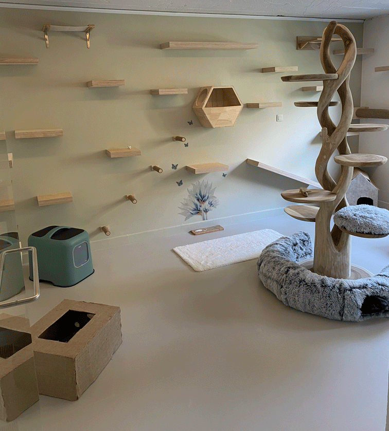 kattenhotel catland speelruimte overzicht